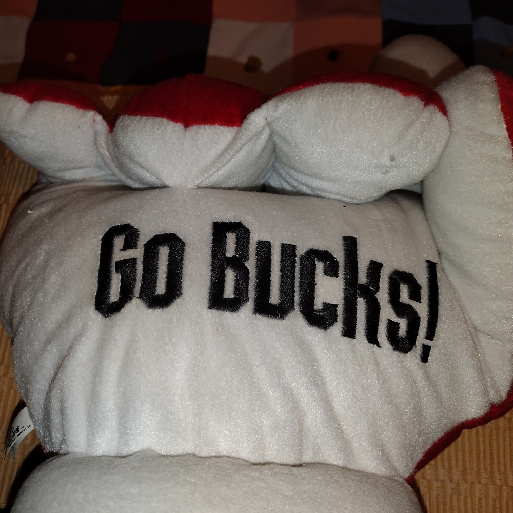 Ohio State Buckeyes fan hand